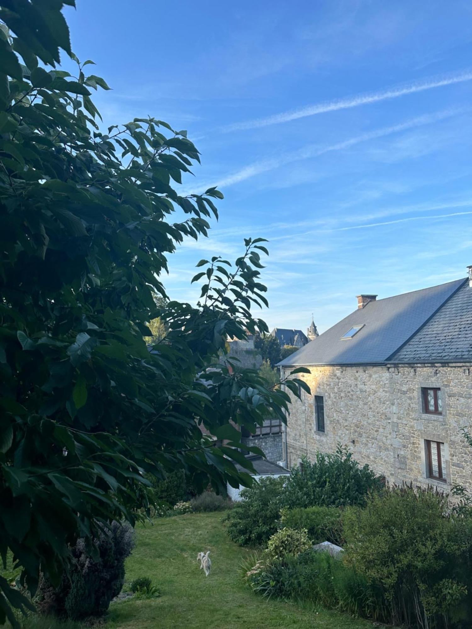 Maison Comtale روشفورت المظهر الخارجي الصورة